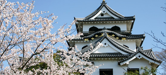Castle tower of Hikone Castle